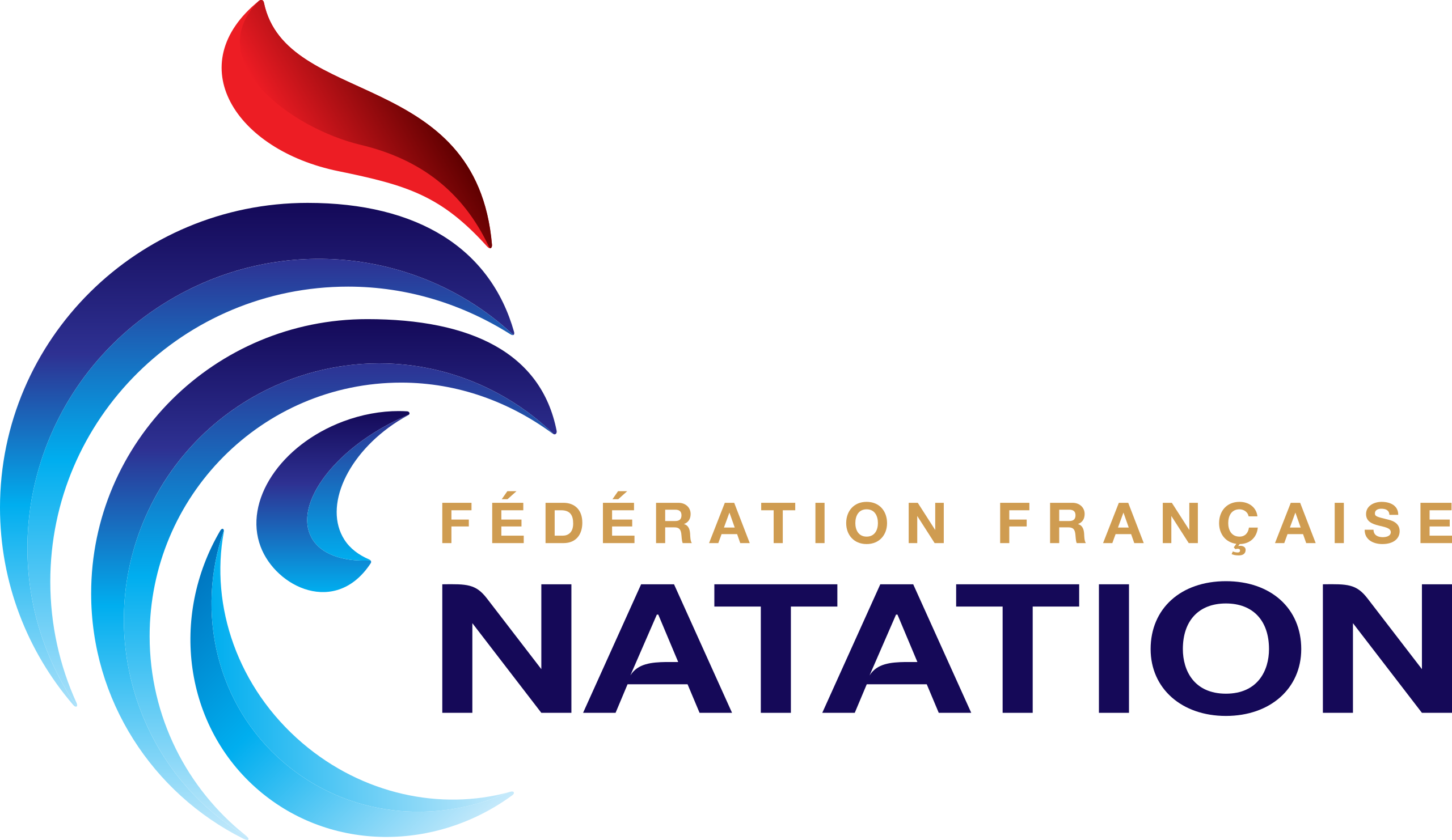 logo FFN