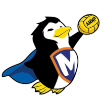 logo de l'équipe deMontgeron